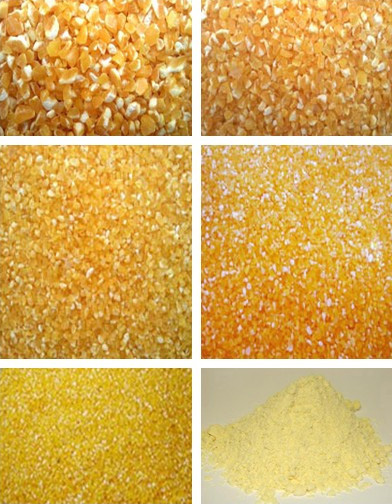 processed product of maize flour machine