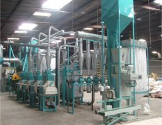 How the Maize Grits Processing Plant Functions